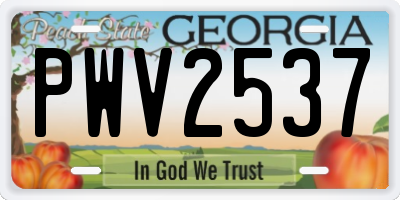 GA license plate PWV2537