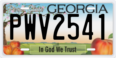GA license plate PWV2541