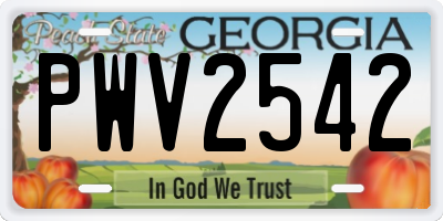 GA license plate PWV2542