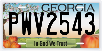 GA license plate PWV2543