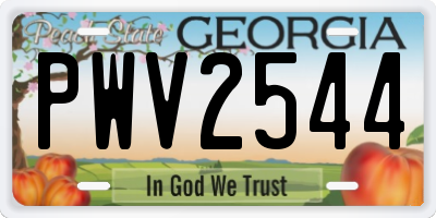 GA license plate PWV2544