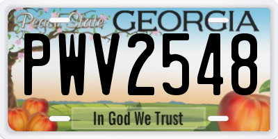 GA license plate PWV2548