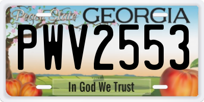 GA license plate PWV2553