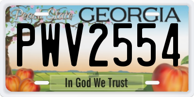 GA license plate PWV2554