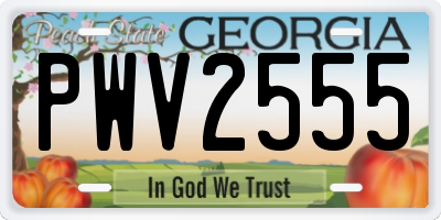 GA license plate PWV2555