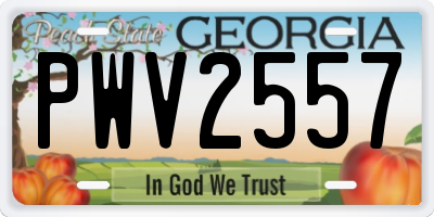 GA license plate PWV2557