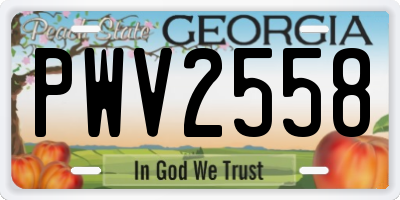 GA license plate PWV2558
