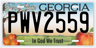 GA license plate PWV2559