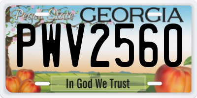 GA license plate PWV2560