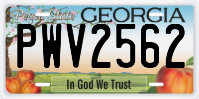 GA license plate PWV2562