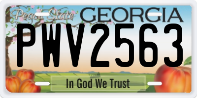 GA license plate PWV2563