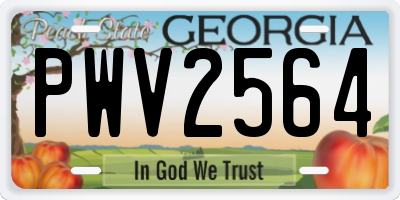 GA license plate PWV2564