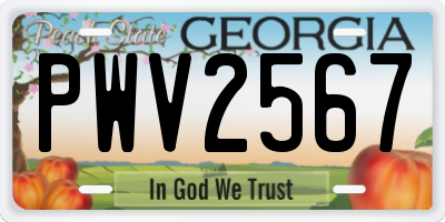 GA license plate PWV2567