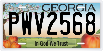 GA license plate PWV2568