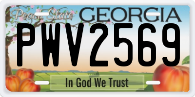 GA license plate PWV2569