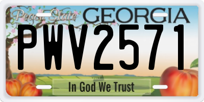 GA license plate PWV2571