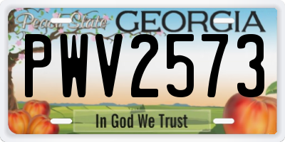 GA license plate PWV2573