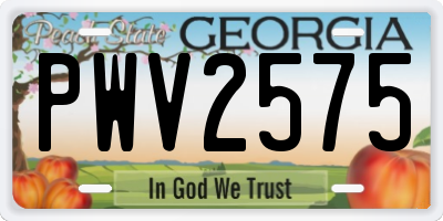 GA license plate PWV2575