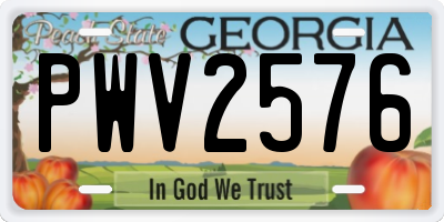 GA license plate PWV2576
