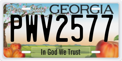 GA license plate PWV2577