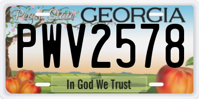 GA license plate PWV2578