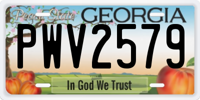 GA license plate PWV2579