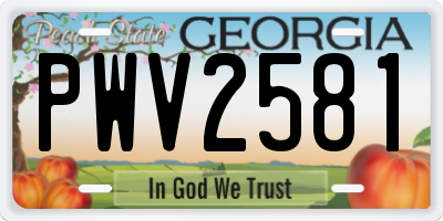GA license plate PWV2581