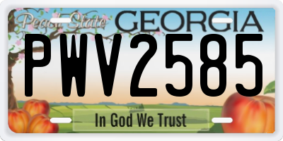 GA license plate PWV2585