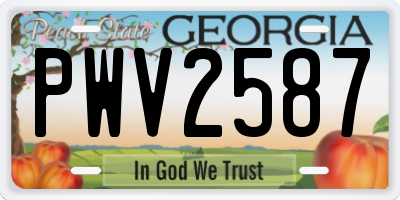 GA license plate PWV2587