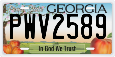 GA license plate PWV2589