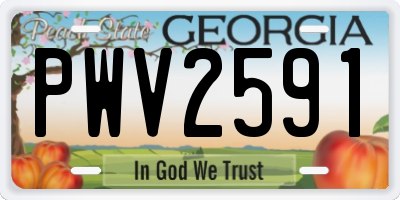 GA license plate PWV2591
