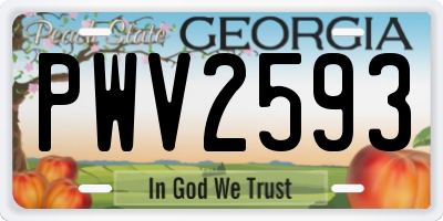 GA license plate PWV2593