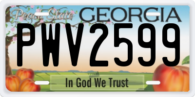 GA license plate PWV2599