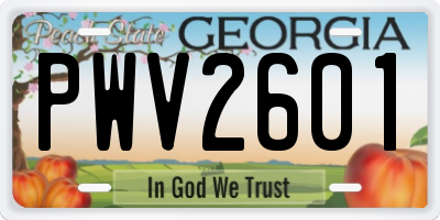GA license plate PWV2601
