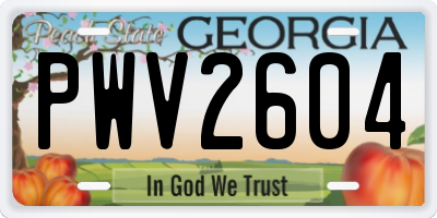 GA license plate PWV2604