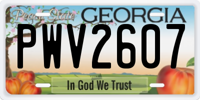GA license plate PWV2607