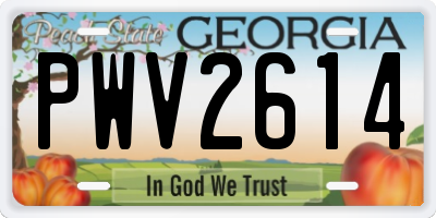 GA license plate PWV2614