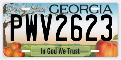 GA license plate PWV2623