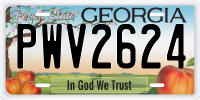 GA license plate PWV2624