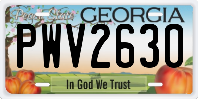 GA license plate PWV2630