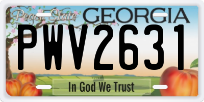 GA license plate PWV2631