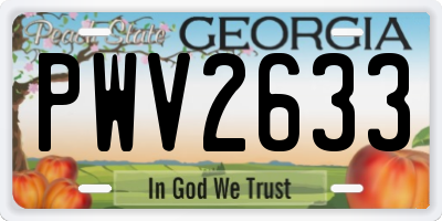 GA license plate PWV2633