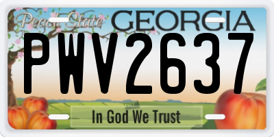 GA license plate PWV2637
