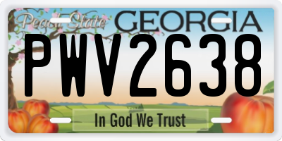 GA license plate PWV2638