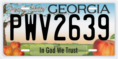 GA license plate PWV2639