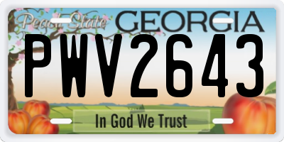 GA license plate PWV2643