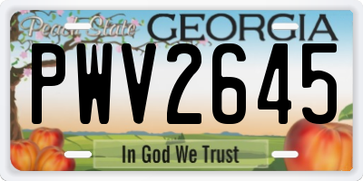 GA license plate PWV2645