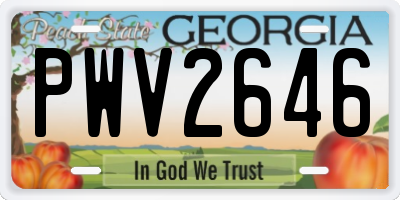 GA license plate PWV2646
