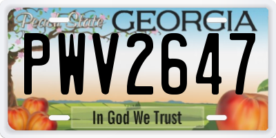 GA license plate PWV2647