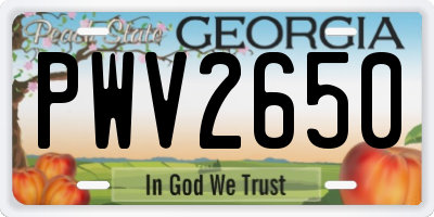 GA license plate PWV2650